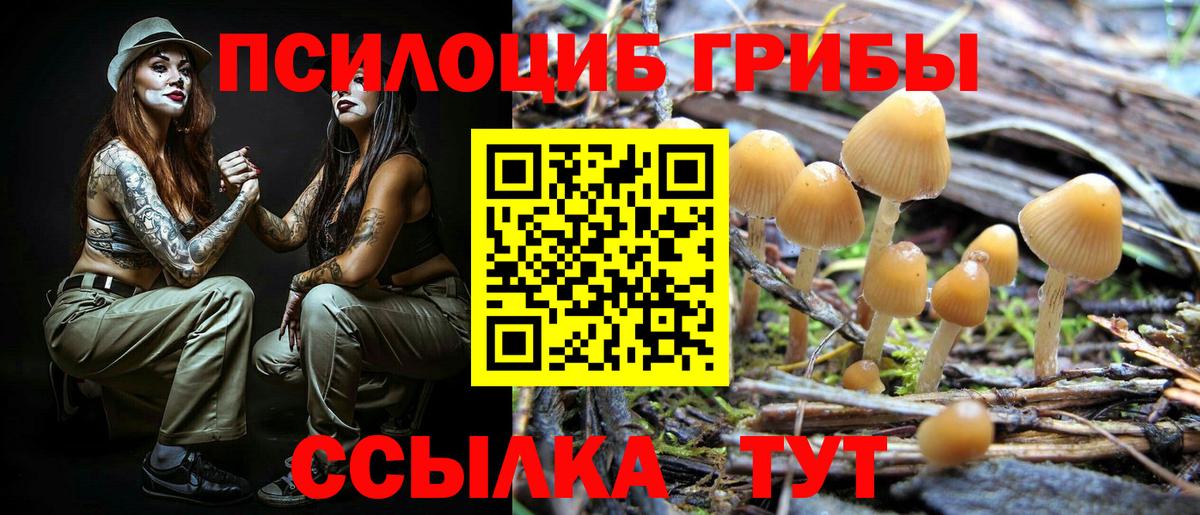 Псилоцибиновые грибы Cubensis  Вход с VPN  Дедовск  Псилоцибиновые грибы прущие грибы 